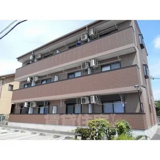 ラヴィーヌ Sの画像