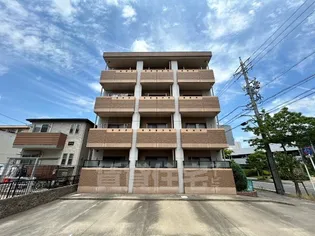 アラニⅡの画像