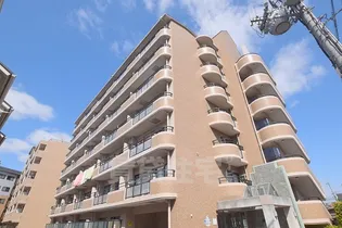 メゾン ドゥ ソレイユの画像