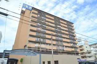 サンライズ御瑞宝1の画像