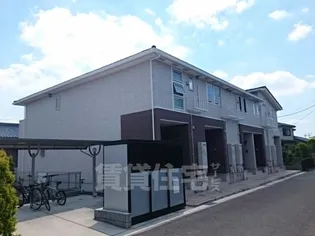 エスターニョの画像