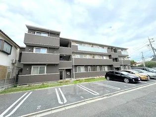 フェルメ天美の画像