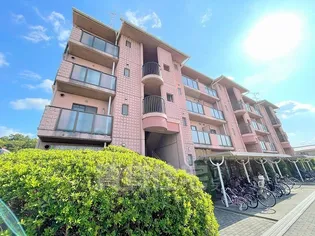 グレープコートの画像