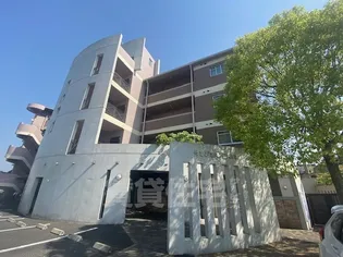 サンドエル藤の木の画像