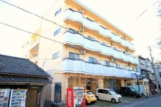 ビラデリンネの画像