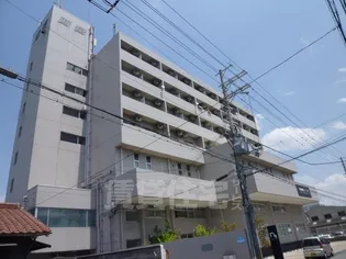 ル シオンの画像