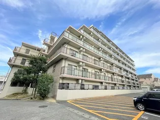 ピュア ドミトリーシミズの画像