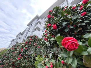 泉北原山団地2号棟の画像