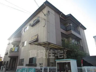 ヌベールマツイの画像