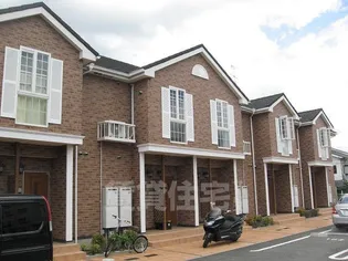 ルミエール Tの画像