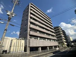 アルフェッカの画像
