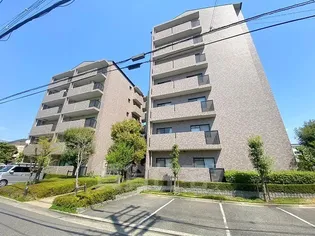 エオリアンハープの画像