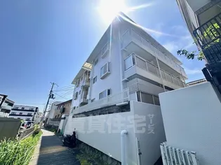 シャトレ富田の画像
