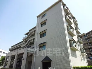 ADUKO一条池の画像