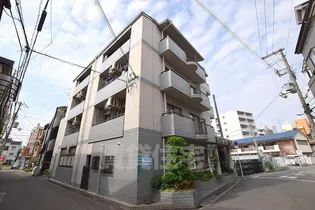 アステルサカエの画像