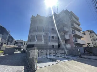 Y'Sコート蘭びっくの画像