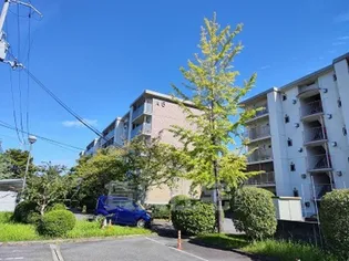 Aマンション5号棟の画像