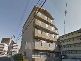 プルミエ小島の画像
