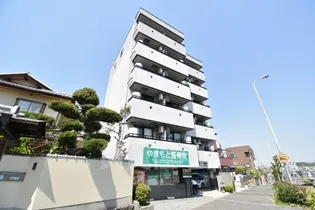 ヨーク北条の画像
