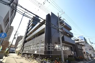 シロハイヌ尼崎の画像