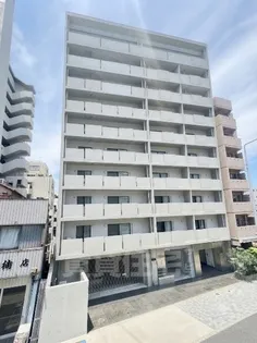 KAYA KIKUIの画像