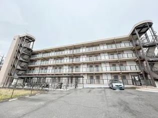 SUNDANCEの画像