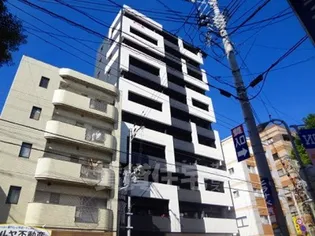 ラファセフェリーズの画像