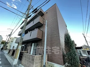 カピラ2の画像