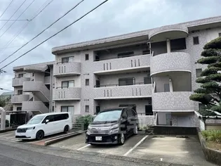 ドリーム梨花の画像
