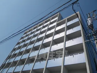 ルラシオン阿由知通の画像