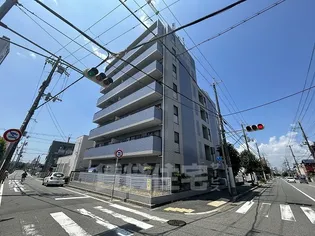 ゼハールト橘の画像
