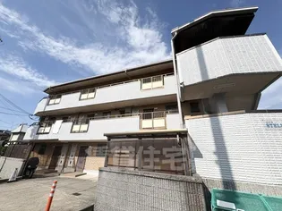 ステラ幾野の画像