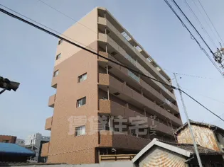 ヤマトシャンポールの画像