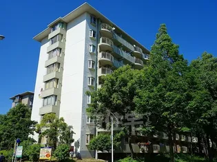神宮東パークハイツ 17号棟の画像