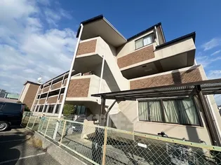 プローブ羽衣の画像