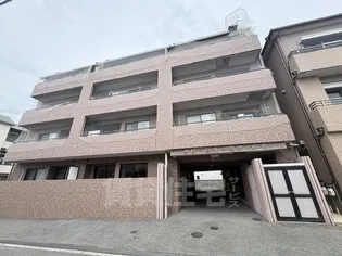 グリーンバーベナ 小林の画像