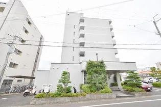 アイランド小野山の画像