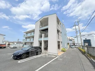 シェーネの画像