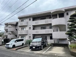 ドリーム梨花の画像