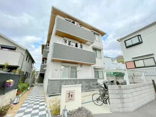 桜COLLINAの画像