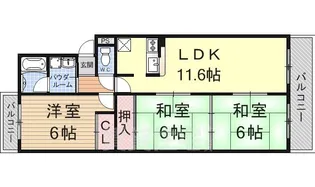 フォレスト石山【2階】の間取り