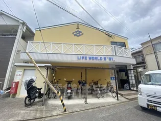 ライフワールドⅡ'91の画像