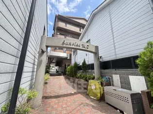 サンライズM Tの画像