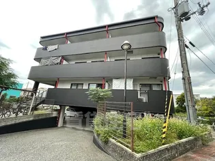 ルミエールの画像