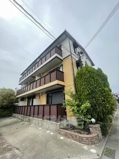 クルナードの画像