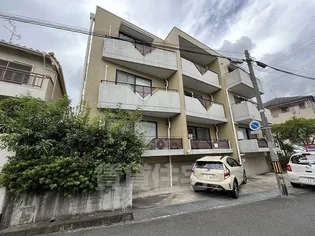 パラツィーナエスタ仁川【2階】の外観