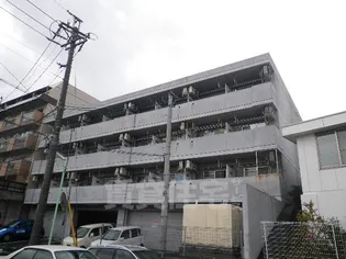 フィオーレ古出来の画像