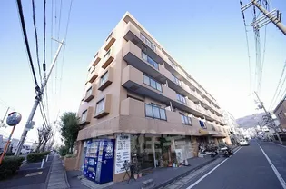 シロハイヌ吉田の画像