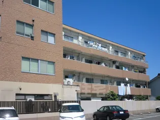 フロイデ小賀須【4階】の外観