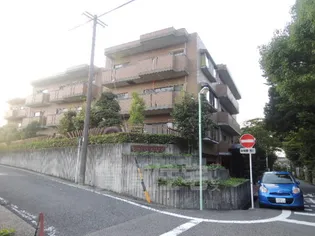 FOREST HILLSの画像